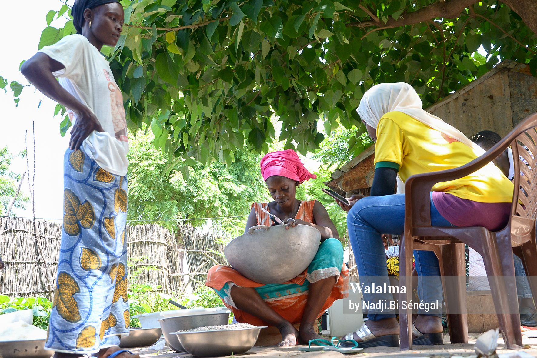Enquête Suivi Evaluation Walalma sur le mil à Ndiaganiao